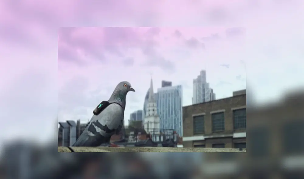 ¿Cómo luchan las grandes ciudades contra la contaminación ambiental?