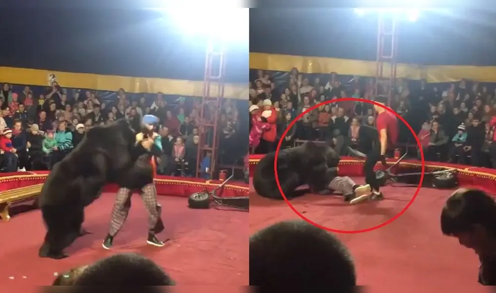 Tremendo e impactante es el video que muestra el momento en que un oso ataca a su domador, en un circo ruso. Foto: Difusión.