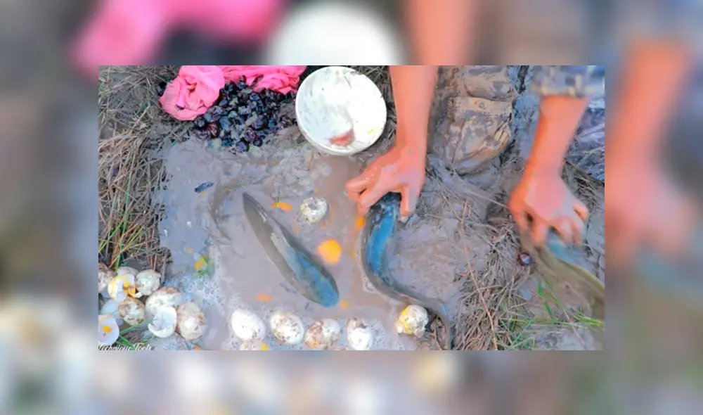 YouTube viral: arroja uvas y huevos en extraño agujero y en segundos aparecen extraños peces YouTube viral: arroja uvas y huevos en extraño agujero y en segundos aparecen extraños peces