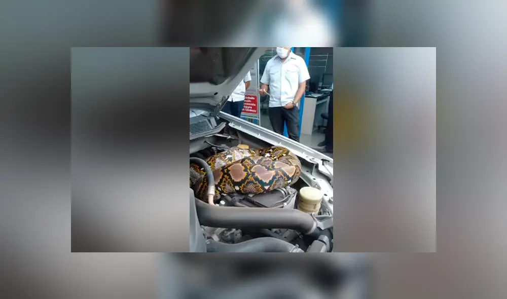 Desliza hacia la izquierda para ver las imágenes del viral de Facebook.