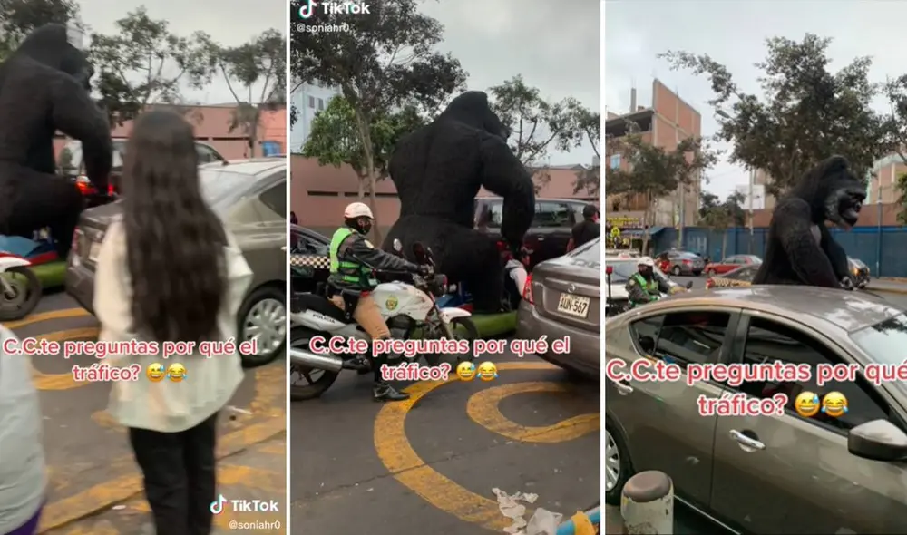 El clip ha alcanzado más de 200.000 reproducciones en TikTok. Foto: composición LR/captura de TikTok/@soniahr0 El clip ha alcanzado más de 200.000 reproducciones en TikTok. Foto: composición LR/captura de TikTok/@soniahr0