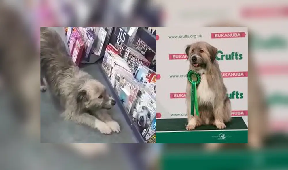 Desliza para ver los detalles del video viral publicado en YouTube. Foto: Captura. Desliza para ver los detalles del video viral publicado en YouTube. Foto: Captura.