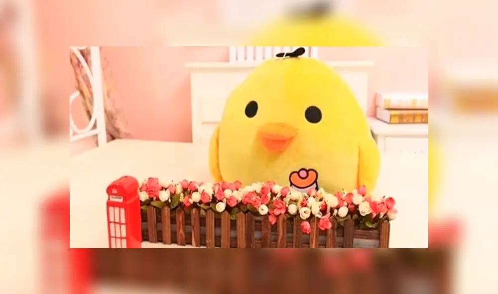 Facebook viral: peruanos ponen a la venta peluches del meme 'se tenía que decir y se dijo' [FOTOS] 