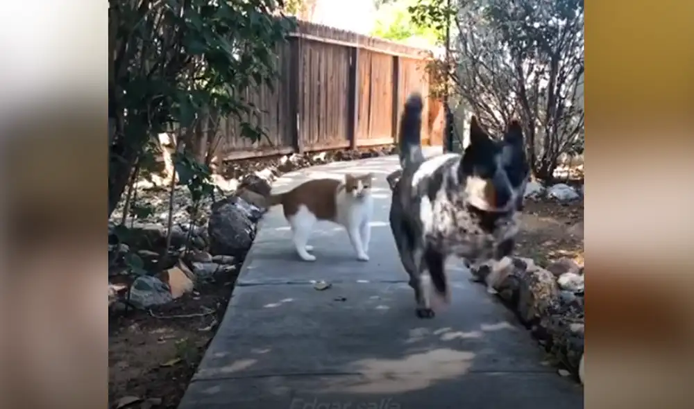 Desliza hacia la izquierda para ver las imágenes del video viral. Foto: Captura de YouTube. Desliza hacia la izquierda para ver las imágenes del video viral. Foto: Captura de YouTube.