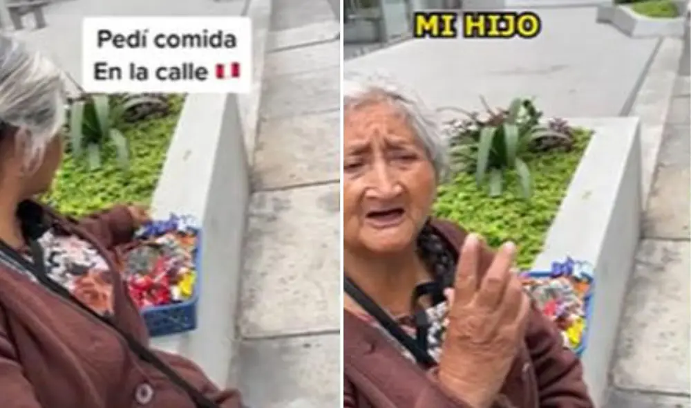 Miles de usuarios quedaron sumamente conmovidos al ver estas imágenes. Foto: composición LR/TikTok