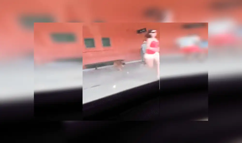 YouTube viral: mujer abandonó entre lágrimas a su perro en estación y es criticada en redes [VIDEO]