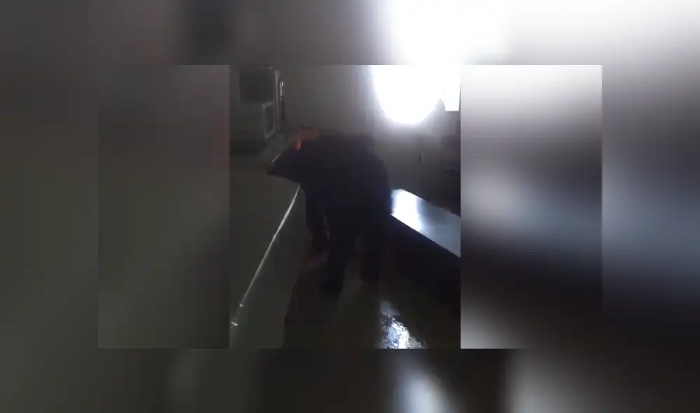 A través de Facebook se hizo viral el momento en que un gigantesco oso invade la casa de una familia mexicana. A través de Facebook se hizo viral el momento en que un gigantesco oso invade la casa de una familia mexicana.