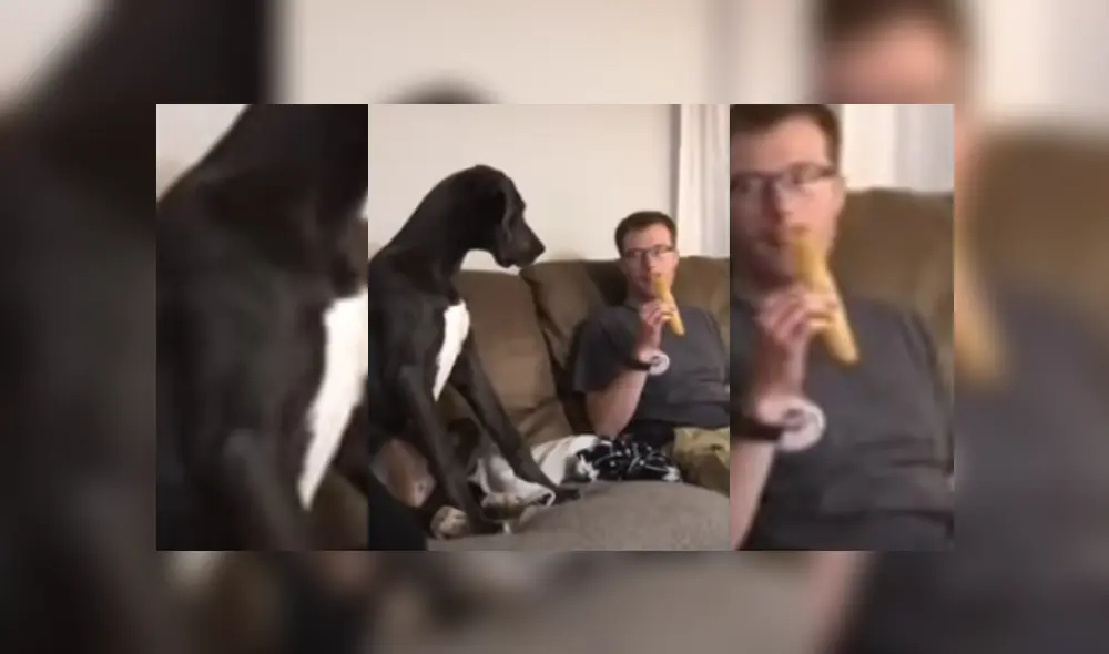 Desliza hacia la izquierda para ver más del video viral Desliza hacia la izquierda para ver más del video viral