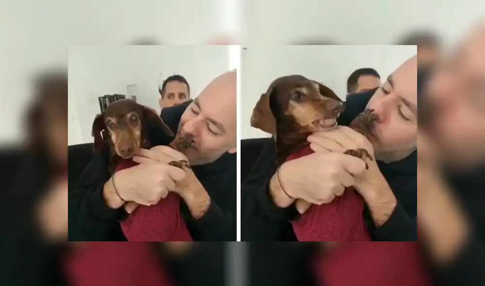 Facebook viral: le piden a un pequeño perro mostrar su sonrisa y su reacción enternece a usuarios [VIDEO]  