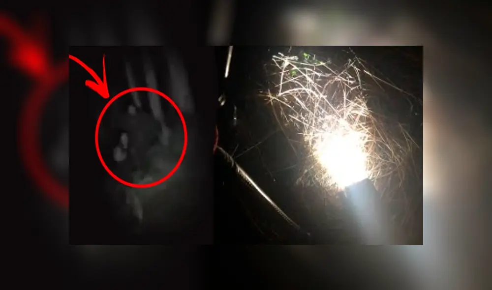 Jóvenes youtubers ingresan a bosque de madrugada y se topan con aterradora criatura. Jóvenes youtubers ingresan a bosque de madrugada y se topan con aterradora criatura.