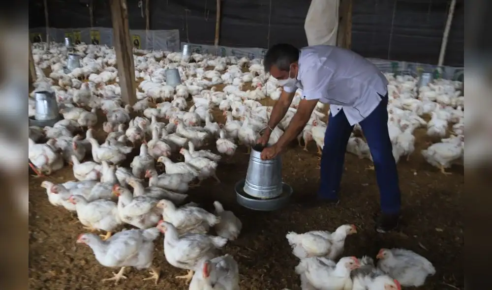 . Foto: Clinton Medina/La República . Foto: Clinton Medina/La República