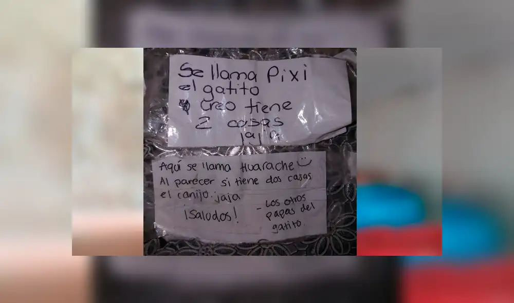 El felino levantó las sospechas de sus dueños cuando empezó a huir de su casa cada cierto tiempo. La peculiar historia se hizo viral en Facebook
