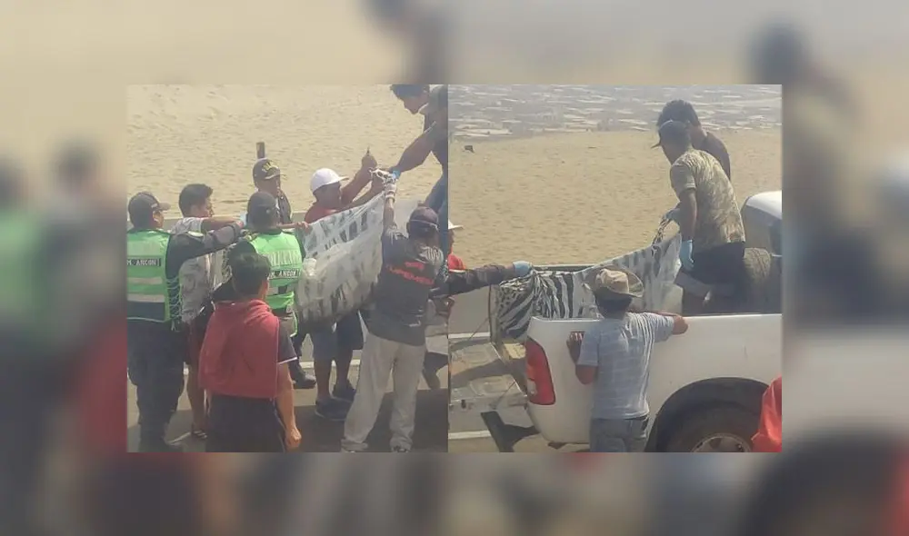 Pobladores denuncian que menores de edad estarían involucrados en la venta de drogas y obligan a escolares a involucrarse en el negocio.