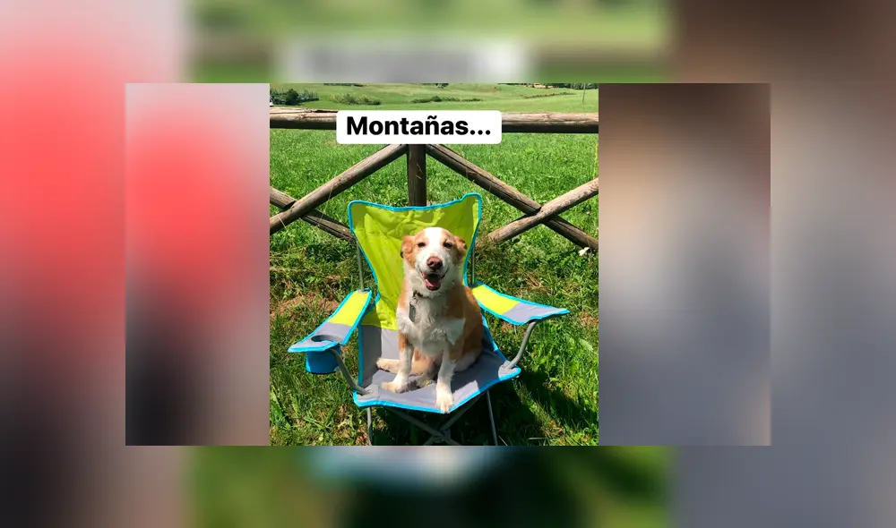 Desliza para ver los detalles de esta historia que conmovió a todos en Facebook. Foto: Captura. Desliza para ver los detalles de esta historia que conmovió a todos en Facebook. Foto: Captura.