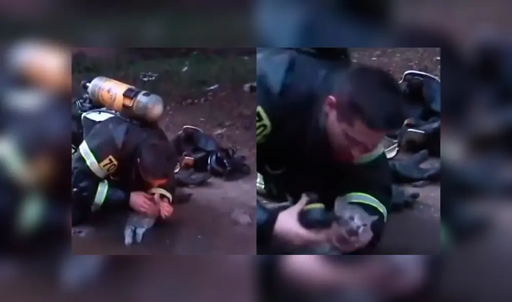 Video es viral en Facebook. El hombre hizo lo posible por rehabilitar al pequeño gato, que no mostraba señales de vida Video es viral en Facebook. El hombre hizo lo posible por rehabilitar al pequeño gato, que no mostraba señales de vida