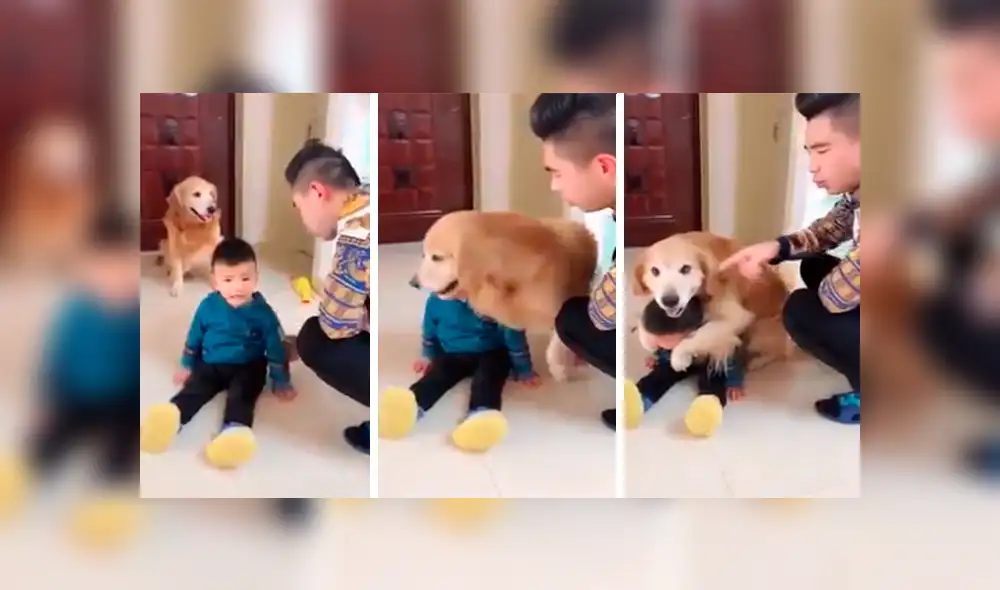 Facebook viral: perro ve que su dueño quiso "castigar severamente" a su hijo y sale a defenderlo [VIDEO]