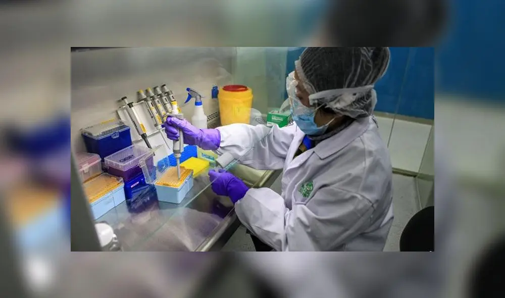 Desarrollo de vacuna contra el coronavirus. Foto: AFP.