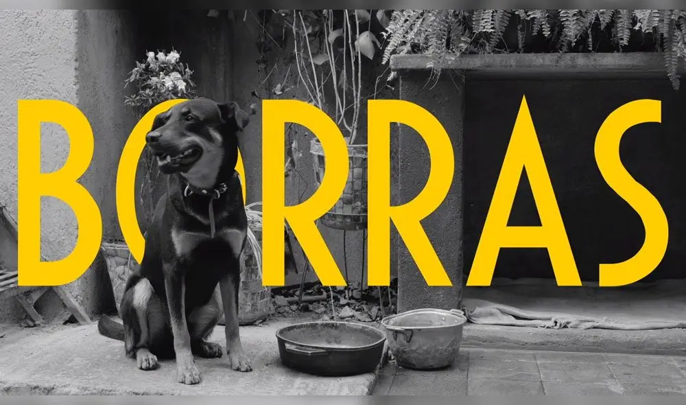 Roma: Alfonso Cuarón comparte la 'Cumbia del Borras'