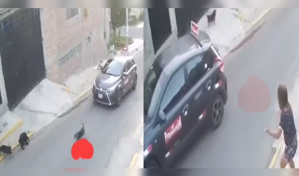 Caso se registró en el distrito de Cayma.