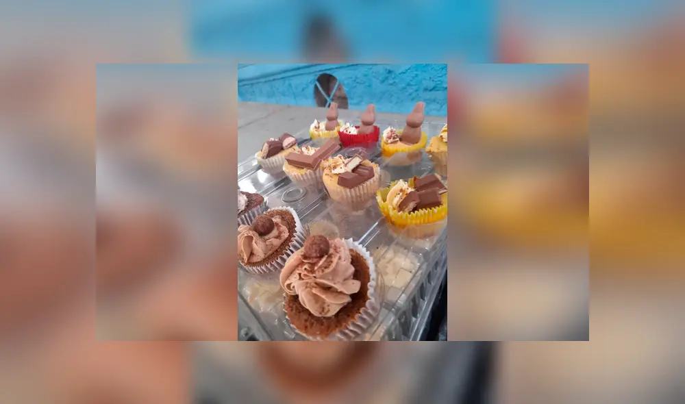 Desliza las imágenes hacia la izquierda para apreciar la noble acción de una joven para ayudar a su gato. Foto: Ximena Ortiz.