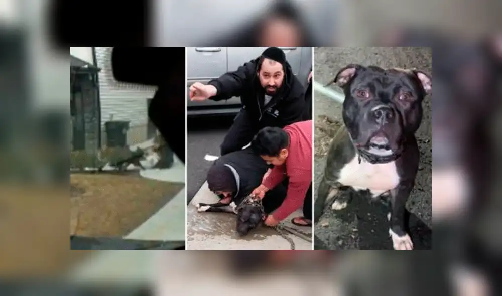 Niña de un año sufre brutal ataque.