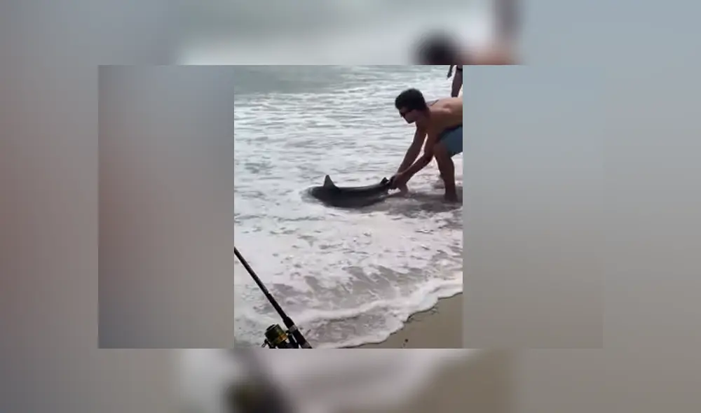 Desliza hacia la izquierda para ver las imágenes del viral de Facebook. Foto: Captura. Desliza hacia la izquierda para ver las imágenes del viral de Facebook. Foto: Captura.