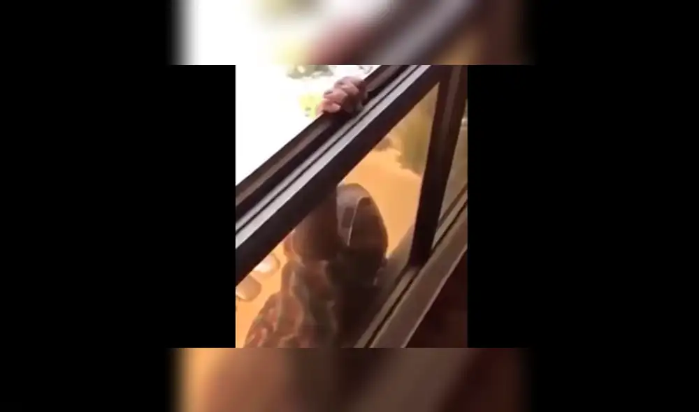Mujer que grabó a empleada doméstica cayendo al vacío fue condenada a cárcel