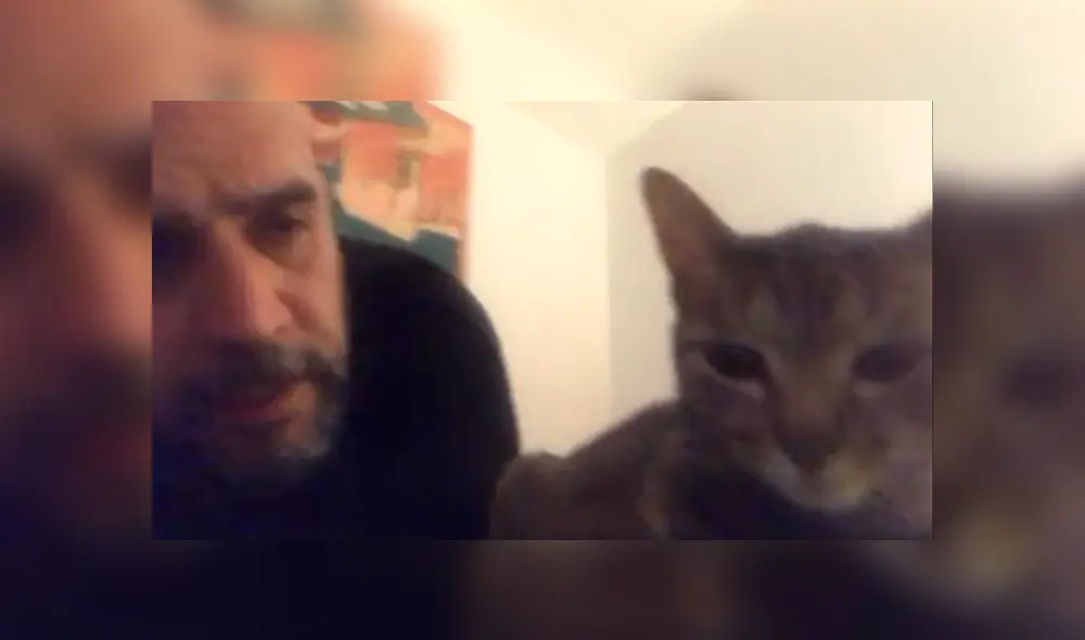En Facebook, un señor estaba cansado que su gato despierte temprano y le hizo una inesperada súplica. En Facebook, un señor estaba cansado que su gato despierte temprano y le hizo una inesperada súplica.
