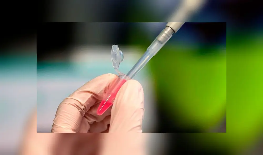 Moderna finalizó el mes pasado su fase 2 del estudio con 300 adultos. Es una de las compañías que trata de tener cuanto antes una vacuna contra la COVID-19. Foto: EFE Moderna finalizó el mes pasado su fase 2 del estudio con 300 adultos. Es una de las compañías que trata de tener cuanto antes una vacuna contra la COVID-19. Foto: EFE