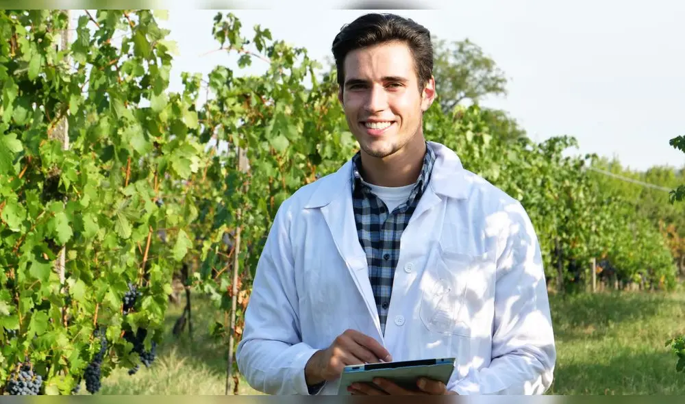 ingeniero agrónomo ingeniero agrónomo