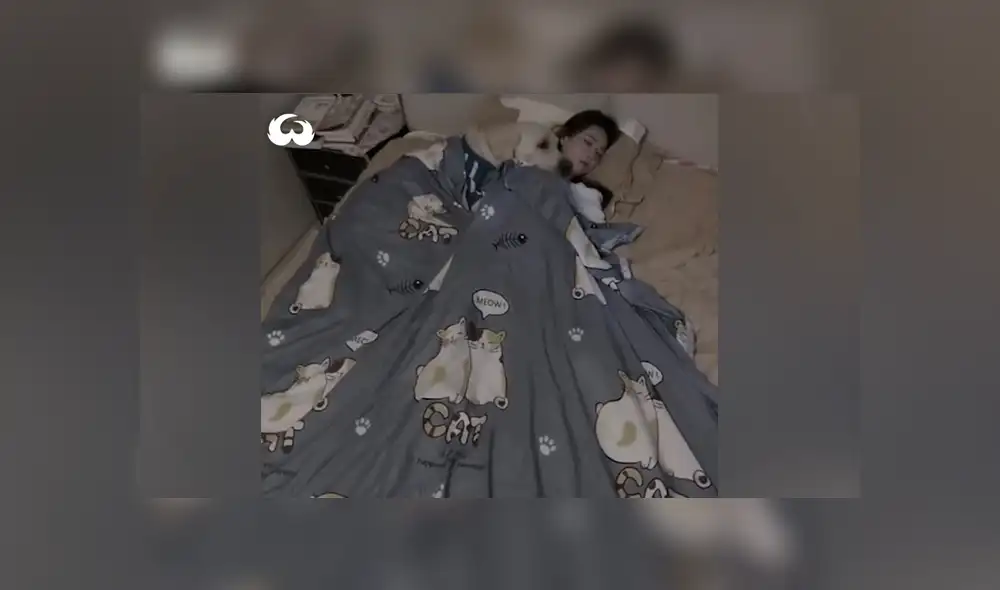 Desliza las imágenes para ver la tierna escena que protagonizó este perro junto a su dueña. Fotocapturas: Woof Woof/Facebook