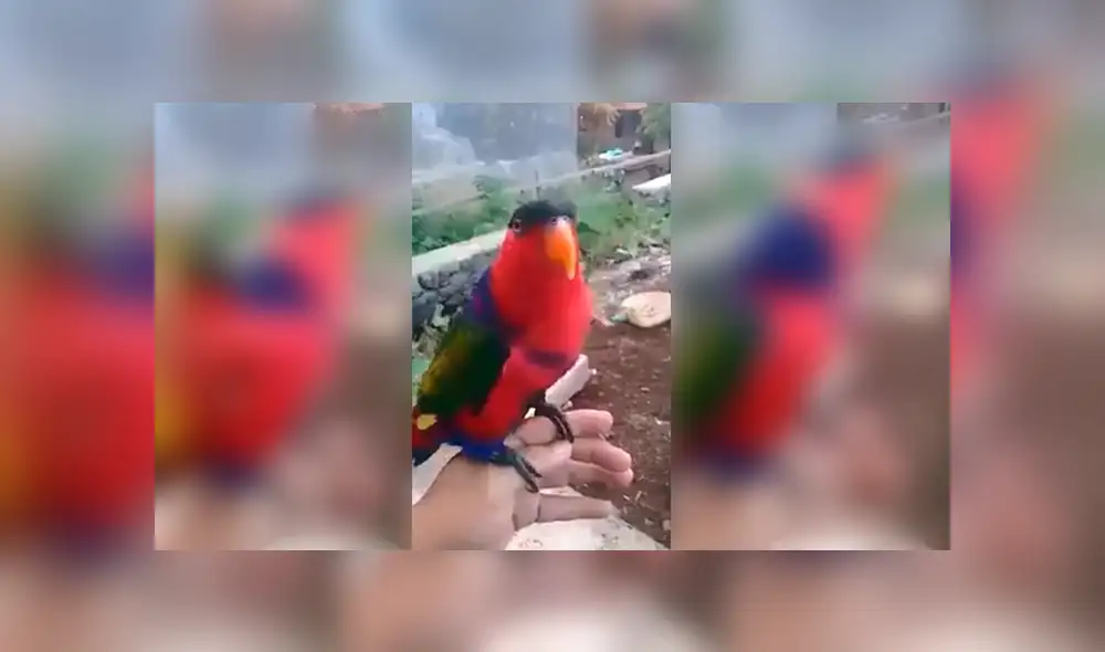 Desliza para ver el desenlace de este video viral de Facebook. Foto: Captura.