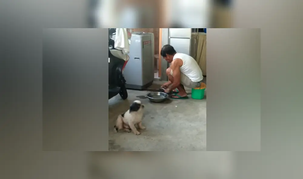 Desliza hacia la izquierda para ver la escena que causó furor en Facebook.