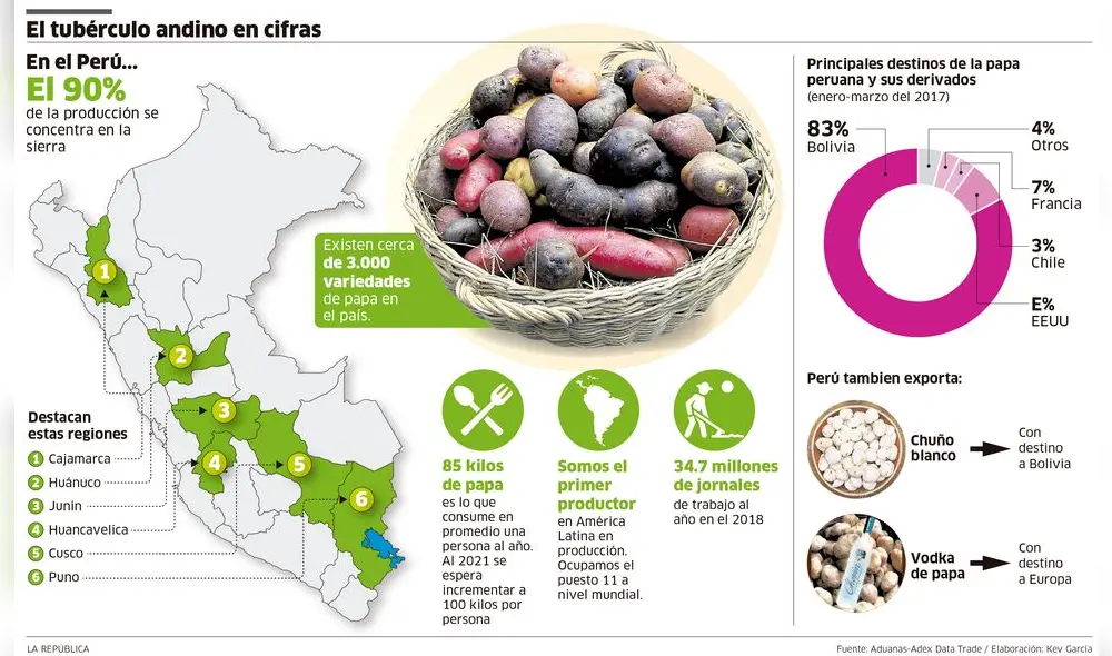 El tubérculo andino en cifras [INFOGRAFÍA] 