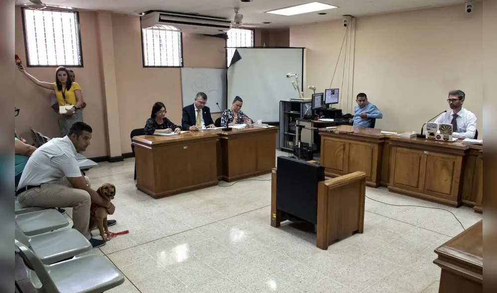 La exdueña de "Campeón", un tierno perro que fue maltratado cuando tenía tan solo seis meses, fue absuelta este viernes. Foto: La exdueña de "Campeón", un tierno perro que fue maltratado cuando tenía tan solo seis meses, fue absuelta este viernes. Foto: