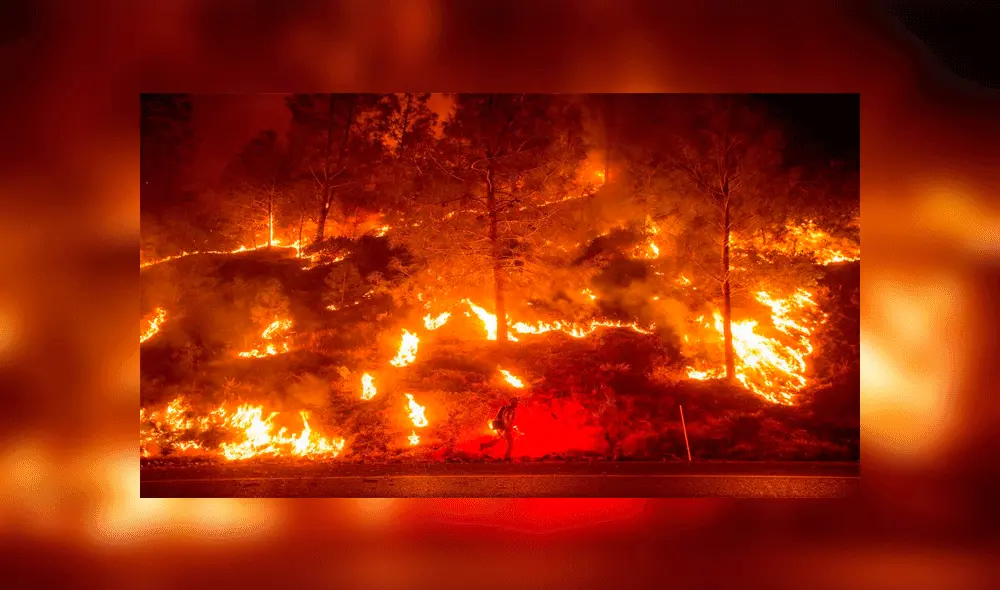 Incendio Forestal - qué es