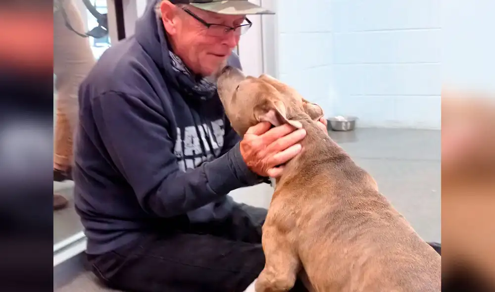 Desliza las imágenes para apreciar el conmovedor momento en que un hombre volvió a ver a su perro. Foto: Captura de Facebook