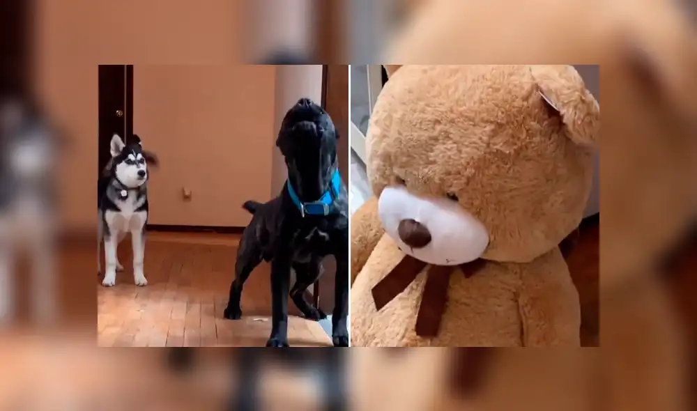 Desliza la imagen de YouTube para verlas todas. Desliza la imagen de YouTube para verlas todas.