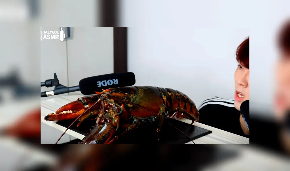 Desliza a la izquierda para ver el gigante platillo que sorprendió a los usuarios de YouTube. Desliza a la izquierda para ver el gigante platillo que sorprendió a los usuarios de YouTube.