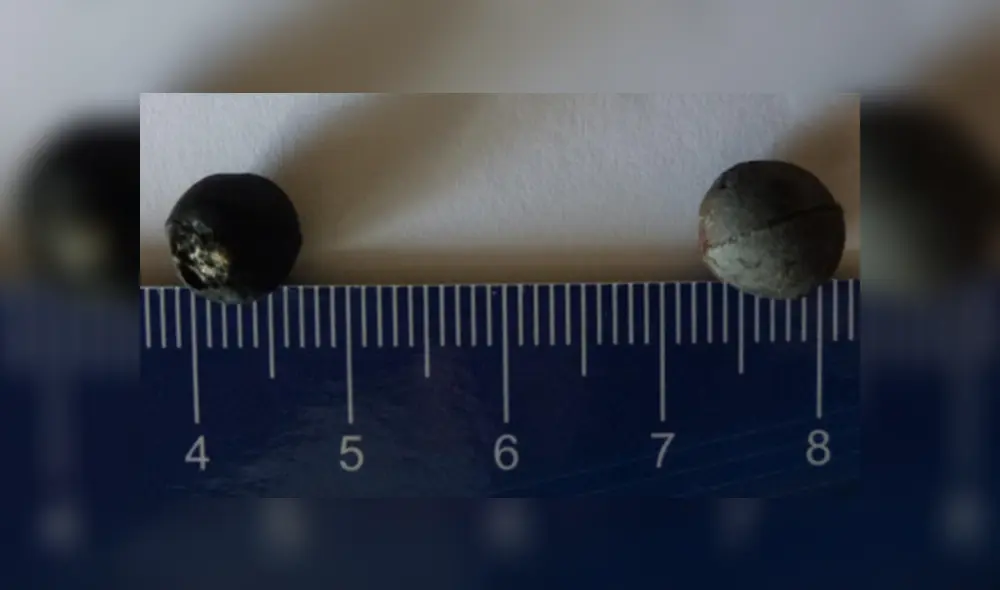 Protestas en Chile: balines utilizados por los carabineros contienen plomo, según estudio Protestas en Chile: balines utilizados por los carabineros contienen plomo, según estudio