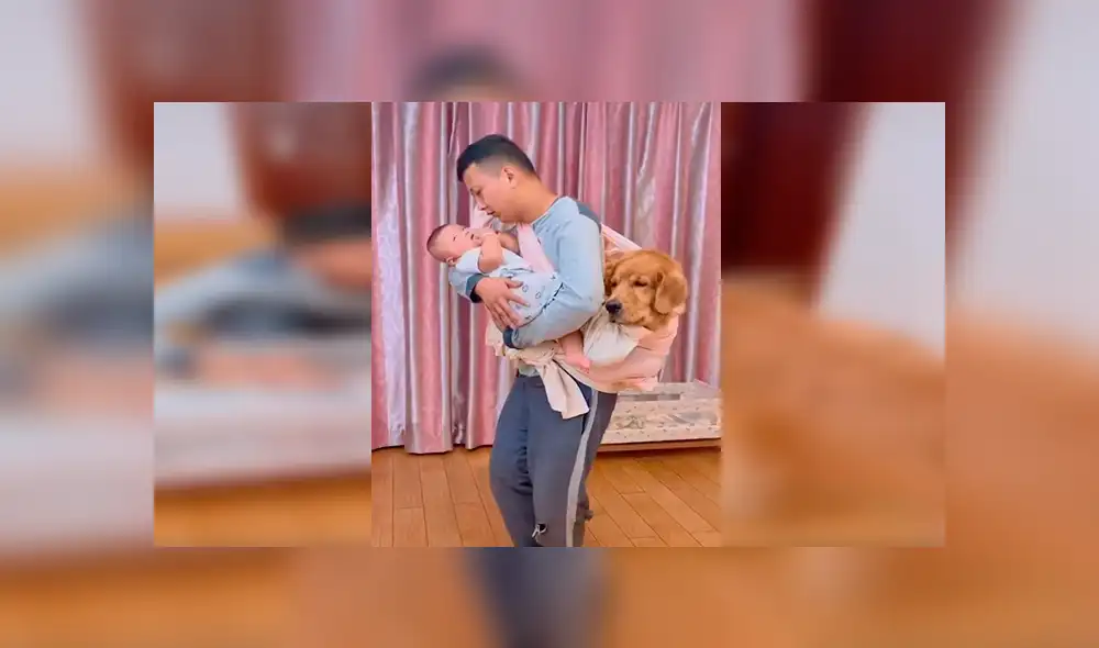 En Facebook, un perro no soportó la llegada de un recién nacido a su hogar y quiso obtener la atención de su dueño.