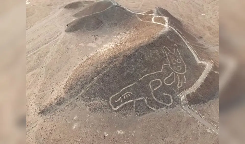 Undated handout picture released by the Peruvian Ministry of Culture, showing a giant cat figure etched into a slope at the Unesco world heritage site in the desert near the town of Nasca in southern Peru, after its was discovered by archaeologists and the area was cleaned as the geoglyph was barely visible and about to disappear due to erosion. - The geoglyph measures 37 metres from head to tail and forms part of the Nasca Lines � the hundreds of geoglyphs, including a hummingbird, a monkey and a pelican, carved into a coastal plain about 400 km south of Lima. According to a statement by the Peruvian ministry of culture, after cleaning the area the lines were found to measure between 30 and 40 cm in width. The Nazca Lines date back to between 500 BC and 500 AD, and cover an area of about 450 square km. They were given world heritage status in 1994. (Photo by - / Peruvian Ministry of Culture / AFP) / RESTRICTED TO EDITORIAL USE - MANDATORY CREDIT "AFP PHOTO / PERU'S CULTURE MINISTRY" - NO MARKETING - NO ADVERTISING CAMPAIGNS - DISTRIBUTED AS A SERVICE TO CLIENTS Undated handout picture released by the Peruvian Ministry of Culture, showing a giant cat figure etched into a slope at the Unesco world heritage site in the desert near the town of Nasca in southern Peru, after its was discovered by archaeologists and the area was cleaned as the geoglyph was barely visible and about to disappear due to erosion. - The geoglyph measures 37 metres from head to tail and forms part of the Nasca Lines � the hundreds of geoglyphs, including a hummingbird, a monkey and a pelican, carved into a coastal plain about 400 km south of Lima. According to a statement by the Peruvian ministry of culture, after cleaning the area the lines were found to measure between 30 and 40 cm in width. The Nazca Lines date back to between 500 BC and 500 AD, and cover an area of about 450 square km. They were given world heritage status in 1994. (Photo by - / Peruvian Ministry of Culture / AFP) / RESTRICTED TO EDITORIAL USE - MANDATORY CREDIT "AFP PHOTO / PERU'S CULTURE MINISTRY" - NO MARKETING - NO ADVERTISING CAMPAIGNS - DISTRIBUTED AS A SERVICE TO CLIENTS