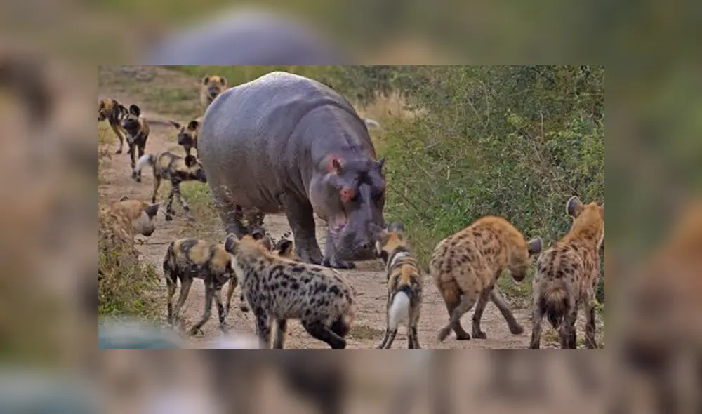 Desliza para ver los detalles del video viral de YouTube. Foto: Captura. Desliza para ver los detalles del video viral de YouTube. Foto: Captura.