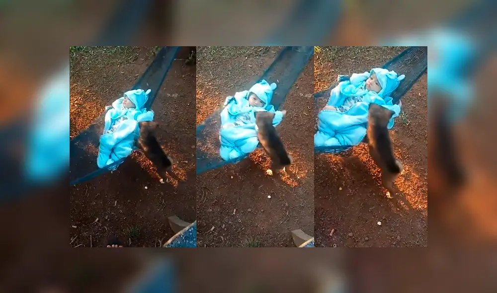 Facebook viral: madre graba el momento exacto en que perro bebé juega con su hijo y genera ternura Facebook viral: madre graba el momento exacto en que perro bebé juega con su hijo y genera ternura