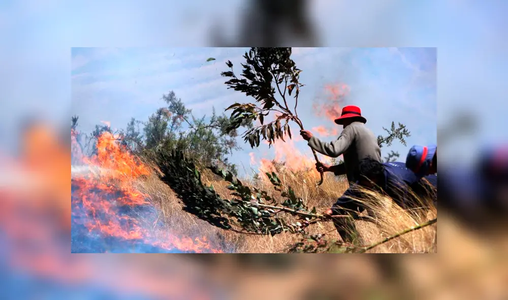 Incendio forestal viene afectado cultivos en Cajamarca. Foto: Andina/Referencial