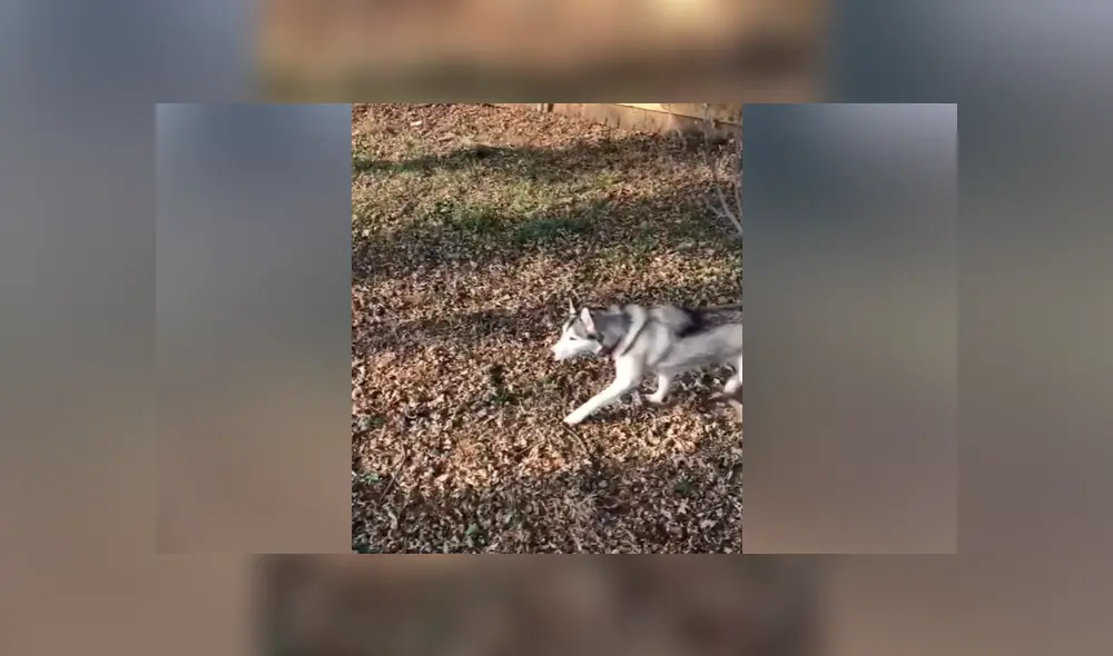 Desliza para ver los momentos más emotivos del video viral de Facebook. Desliza para ver los momentos más emotivos del video viral de Facebook.