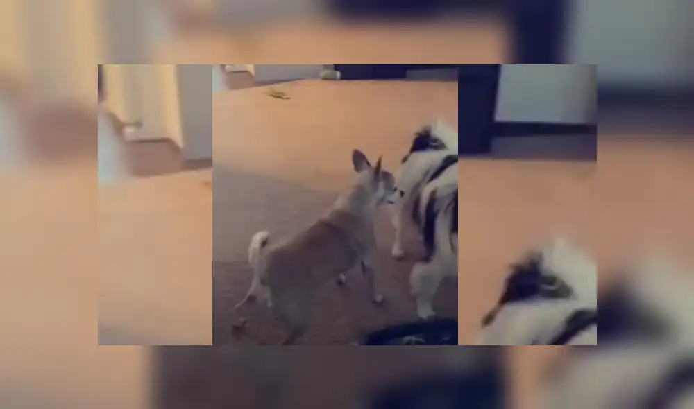 Desliza hacia la izquierda para ver más del video viral. Fotocaptura: YouTube Desliza hacia la izquierda para ver más del video viral. Fotocaptura: YouTube