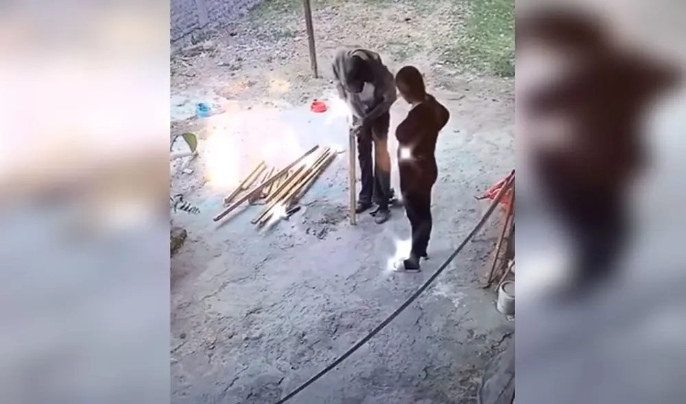 Desliza las imágenes para conocer el noble gesto de una pareja tras acoger en casa a unos tres perros callejeros. Foto: captura de TikTok