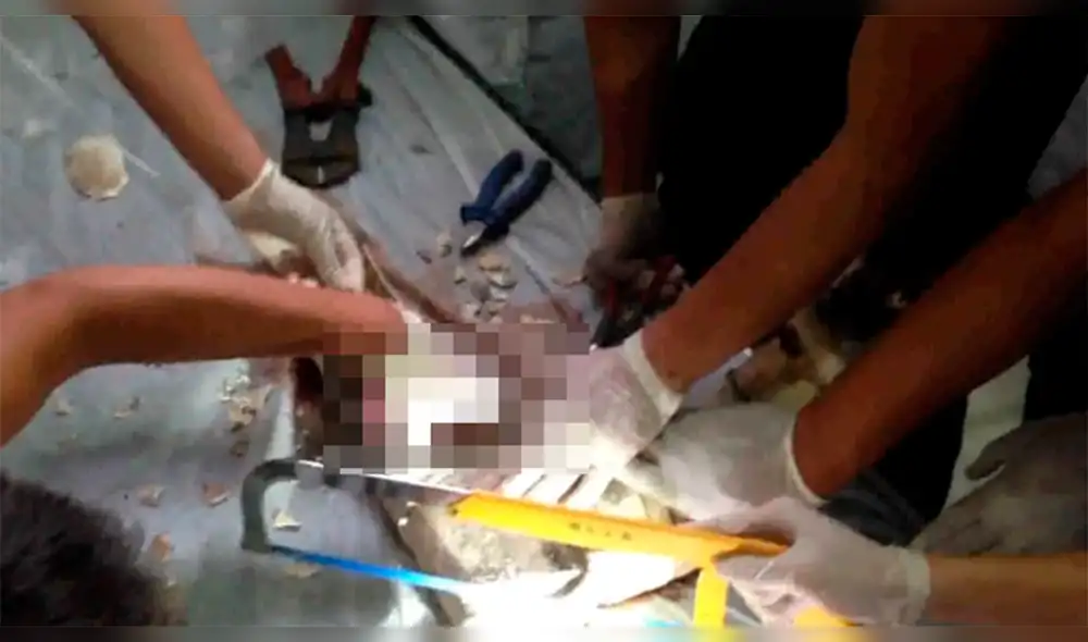 Arrojaron a bebé de dos días por el inodoro, pero fue hallado vivo [FOTOS]