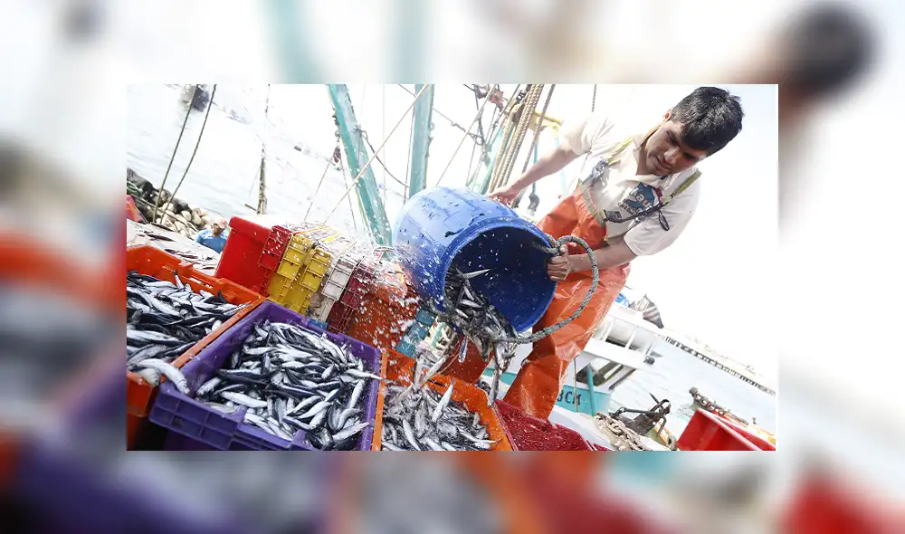 Renuevan compromiso para salvaguardar la biodiversidad marina